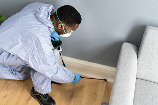 Best Residential Pest Control  in Gray, TN